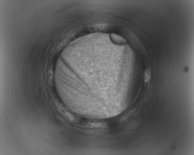 X0000116641011200912291551