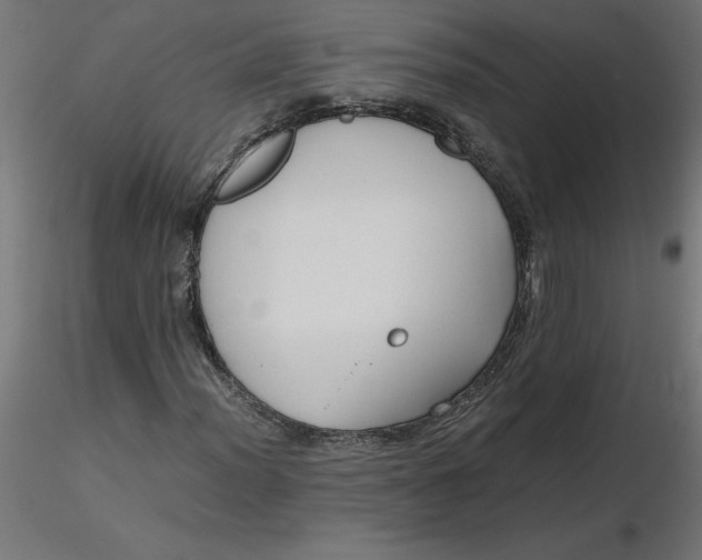 X0000116641012200912291551