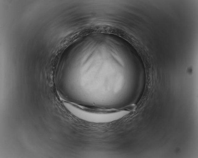 X0000116641013200912291551