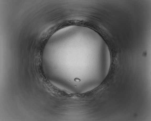 X0000116641014200912291551