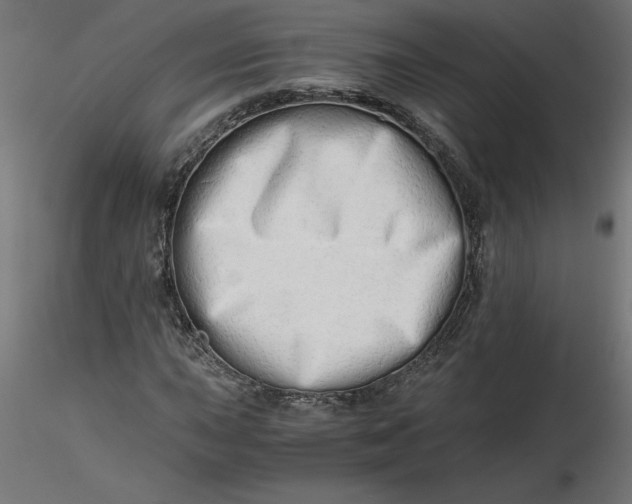 X0000116641015200912291551