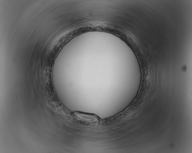 X0000116641016200912291551