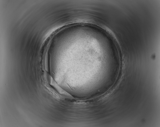 X0000116641019200912291551