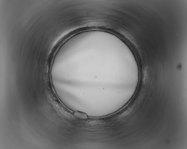 X0000116641021200912291551