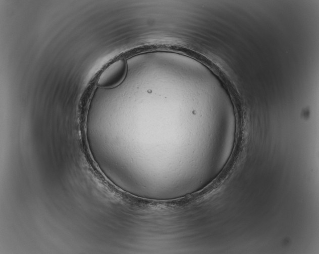 X0000116641022200912291551