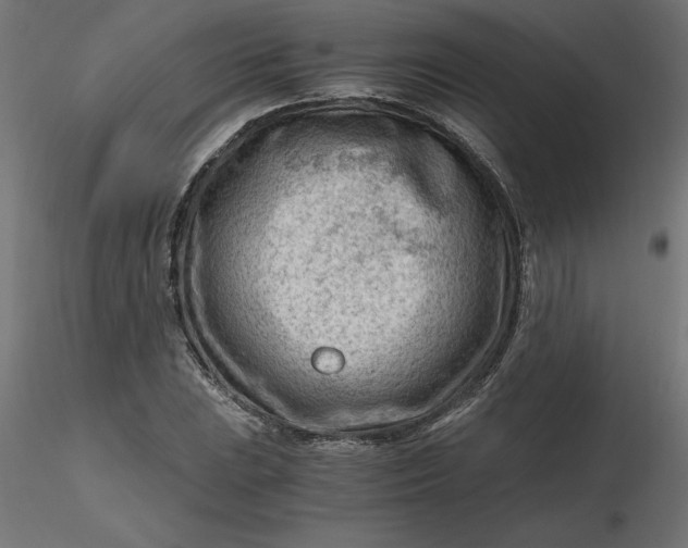 X0000116641023200912291551