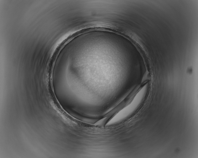 X0000116641024200912291551