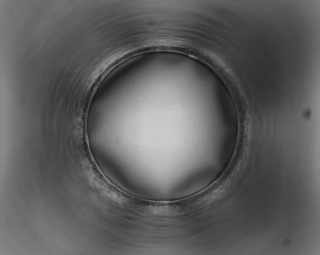 X0000116641025200912291551