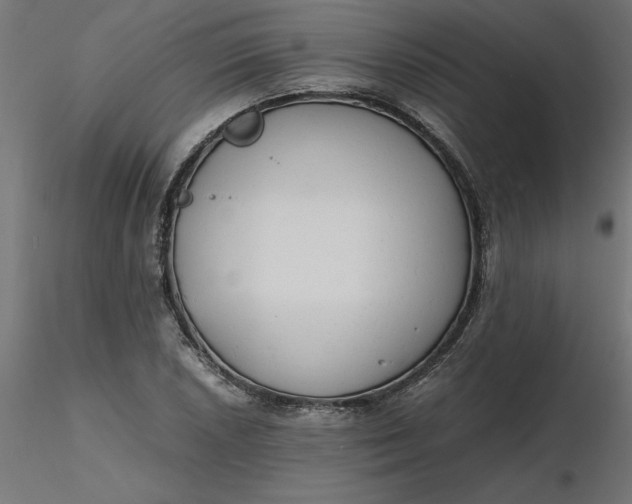 X0000116641026200912291551