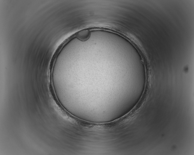 X0000116641028200912291551