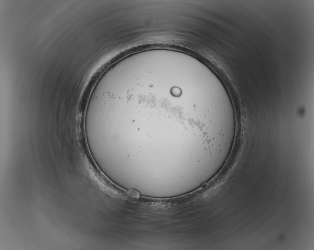 X0000116641029200912291551