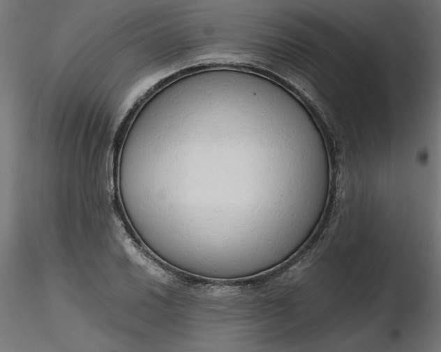 X0000116641030200912291551