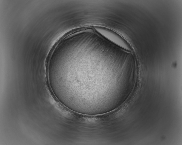 X0000116641031200912291551