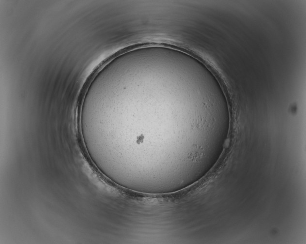 X0000116641032200912291551