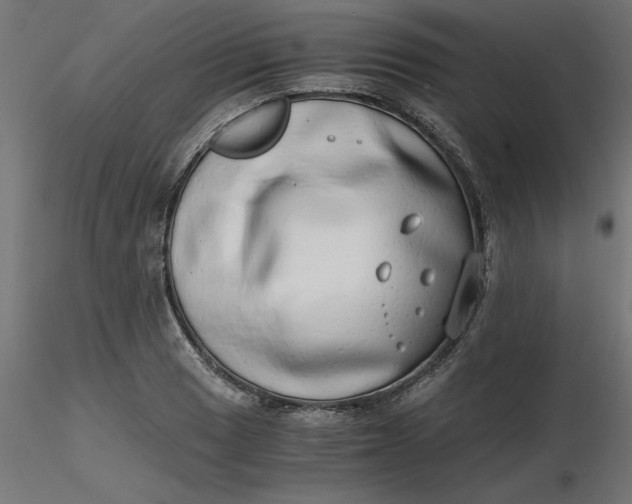 X0000116641033200912291551