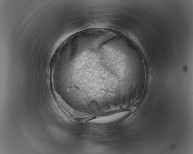 X0000116641035200912291551