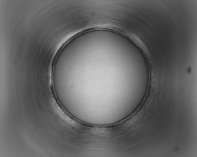 X0000116641036200912291551