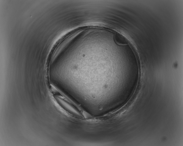 X0000116641037200912291551