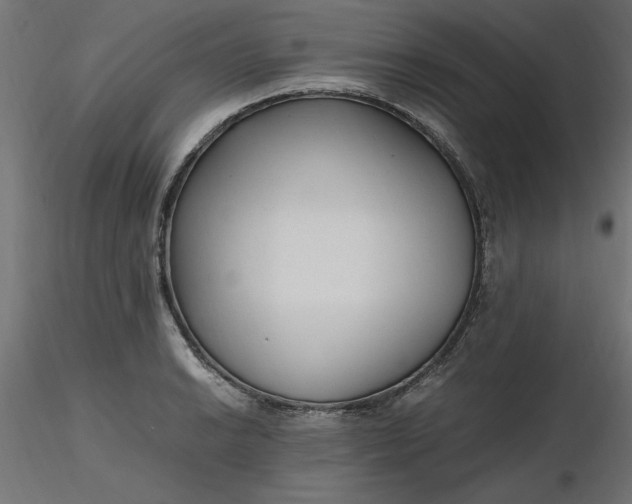 X0000116641038200912291551