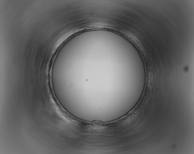 X0000116641039200912291551