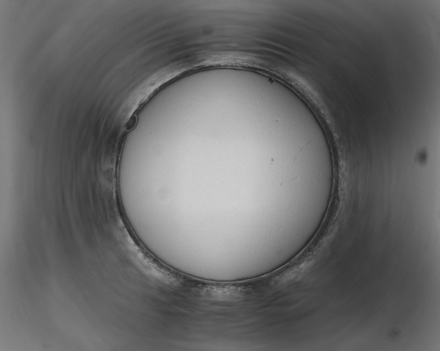 X0000116641041200912291551