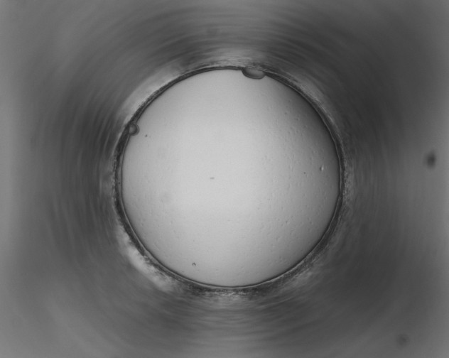 X0000116641042200912291551