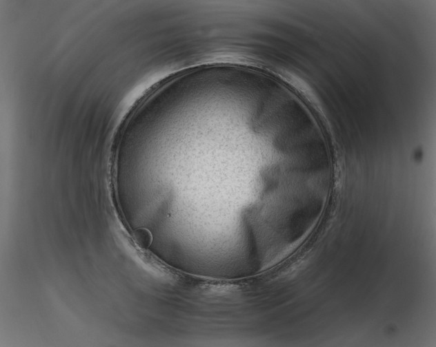 X0000116641043200912291551