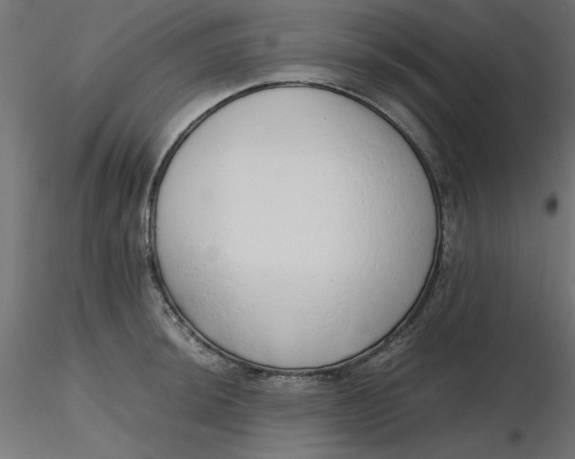 X0000116641044200912291551