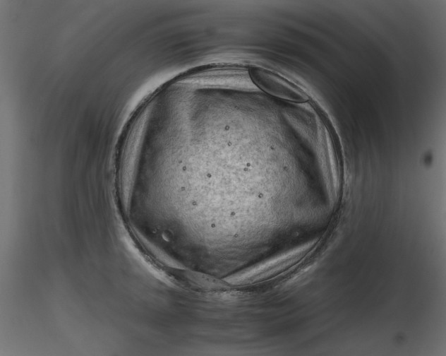 X0000116641045200912291551