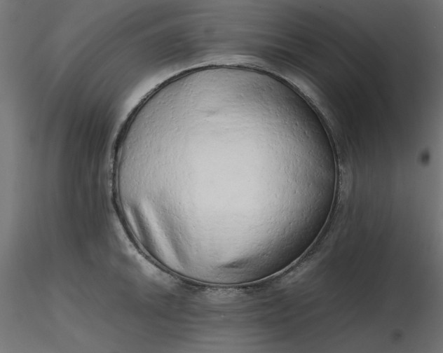 X0000116641046200912291551