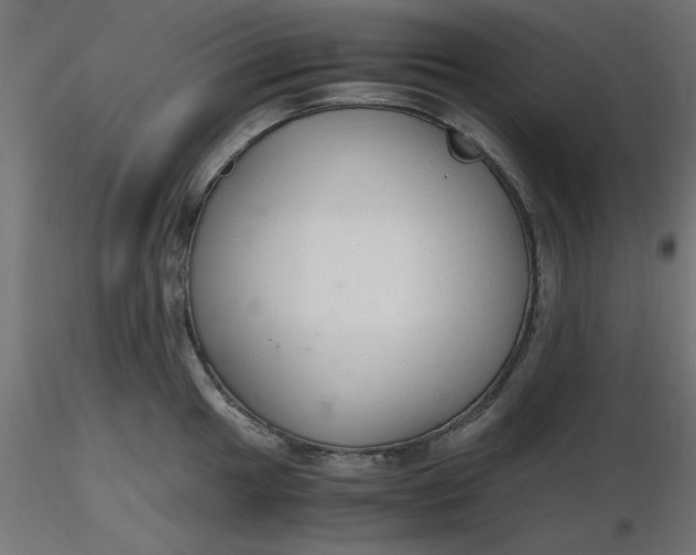 X0000116641049200912291551