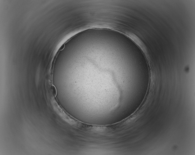 X0000116641052200912291551