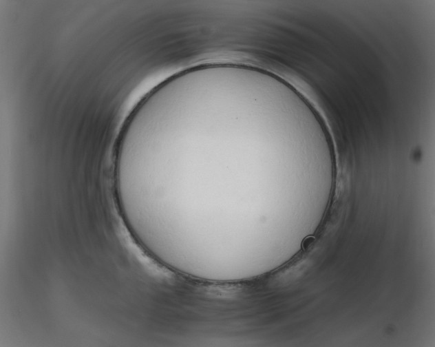 X0000116641053200912291551