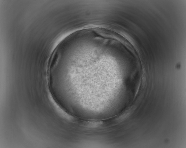 X0000116641055200912291551