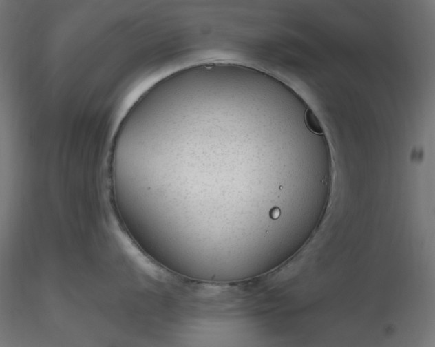 X0000116641056200912291551