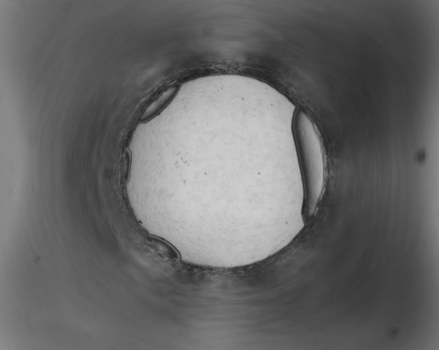 X0000116641057200912291550