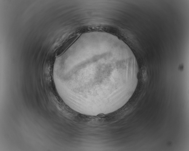 X0000116641060200912291550