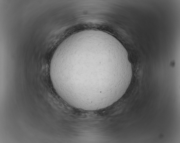 X0000116641061200912291550