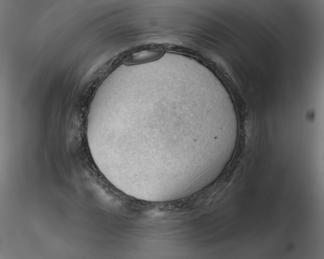 X0000116641064200912291550