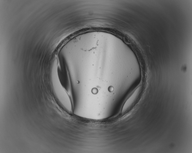 X0000116641065200912291550