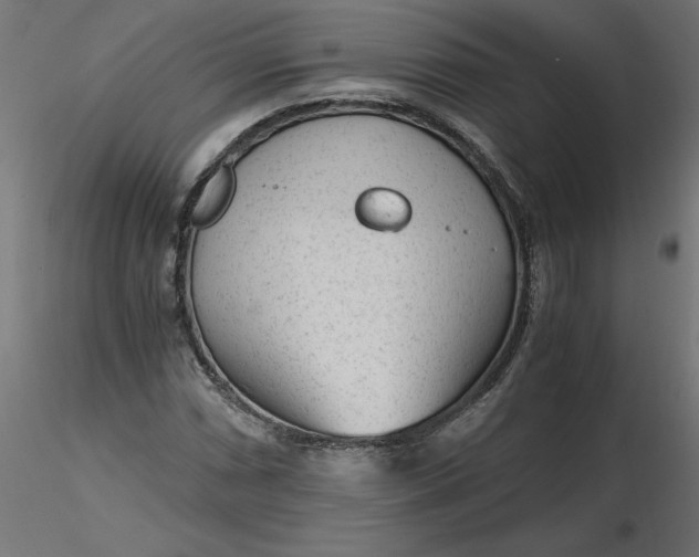 X0000116641066200912291550