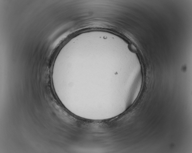 X0000116641067200912291550