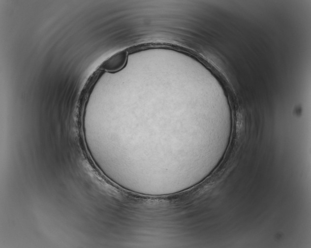 X0000116641068200912291550