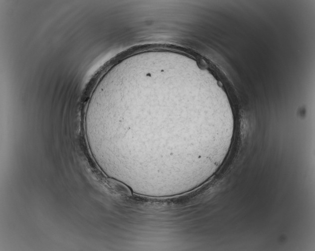 X0000116641069200912291550