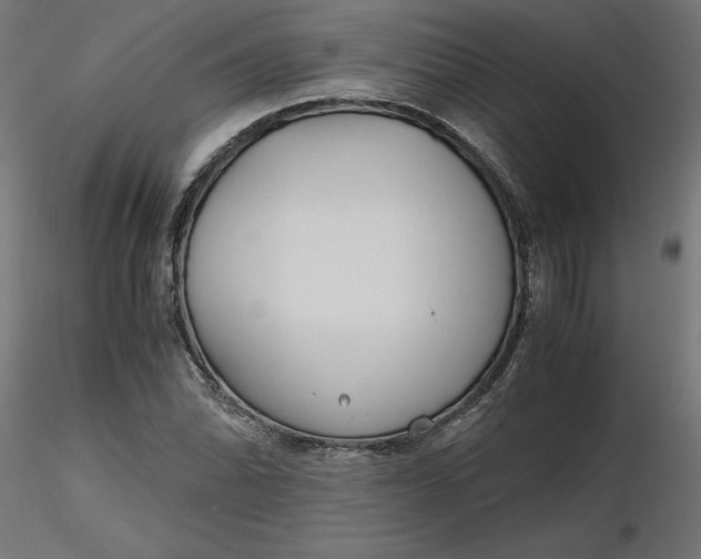 X0000116641070200912291550