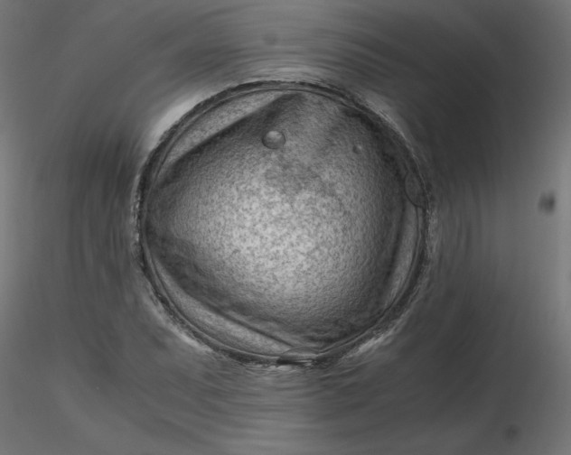 X0000116641071200912291550