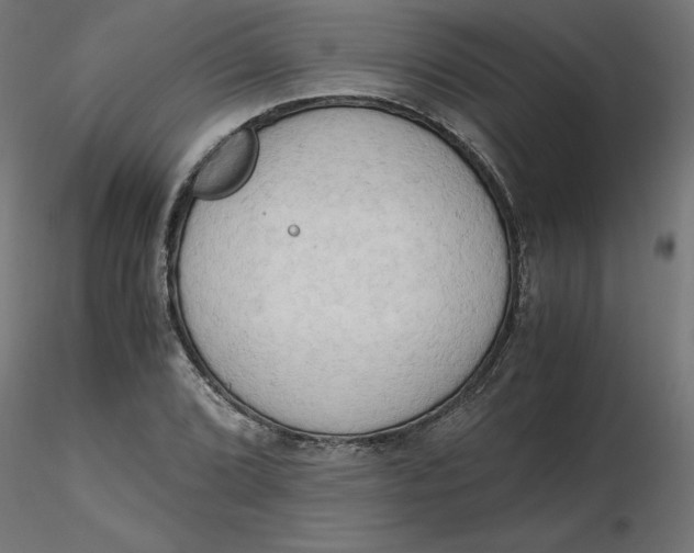 X0000116641072200912291550