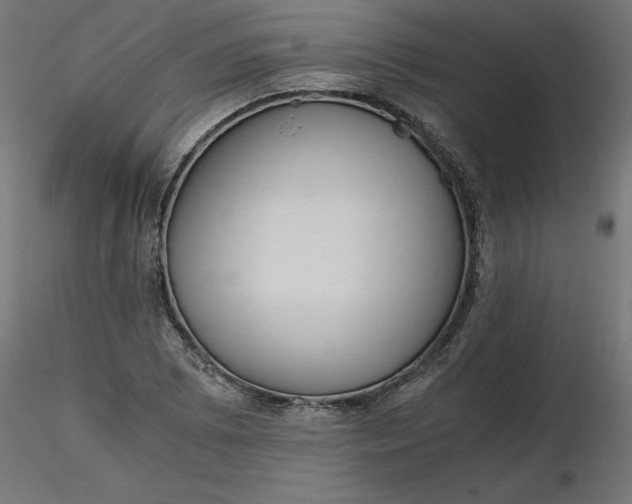 X0000116641073200912291550