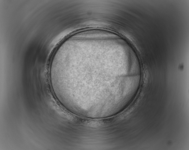 X0000116641074200912291550