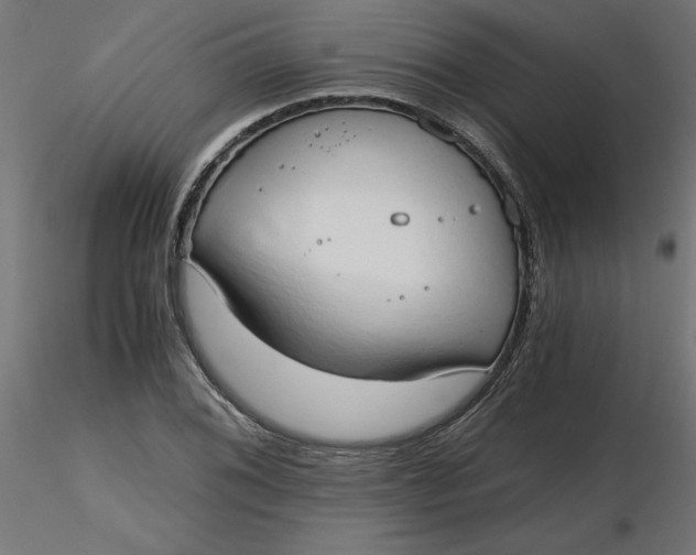 X0000116641076200912291550